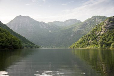 Karadağ'daki İşkodra Gölü sessiz suları