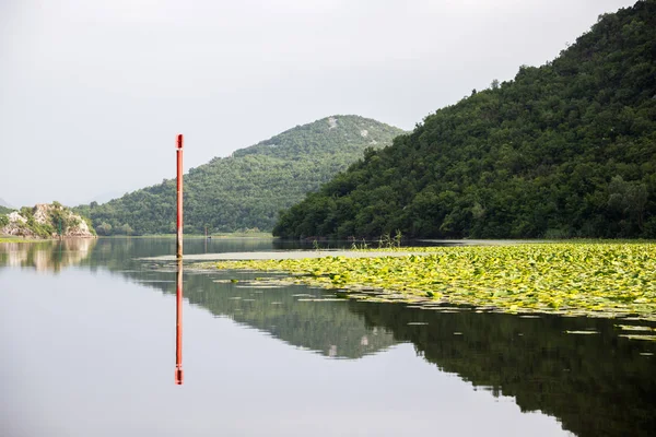 Lugna vatten i sjön Skadar i Montenegro — Stockfoto