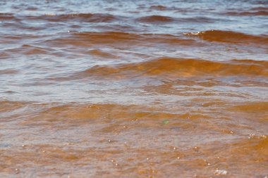 Dalga deniz kumsalda Üstten Görünüm