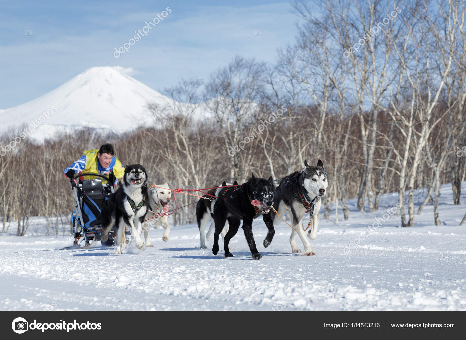 Asian People Taking Pictures Slead Russian Bobsled Russian