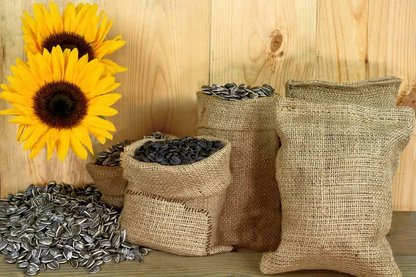 Sunflower seeds, burlap bags, sunflower blossom, wooden table an — Stock Photo, Image