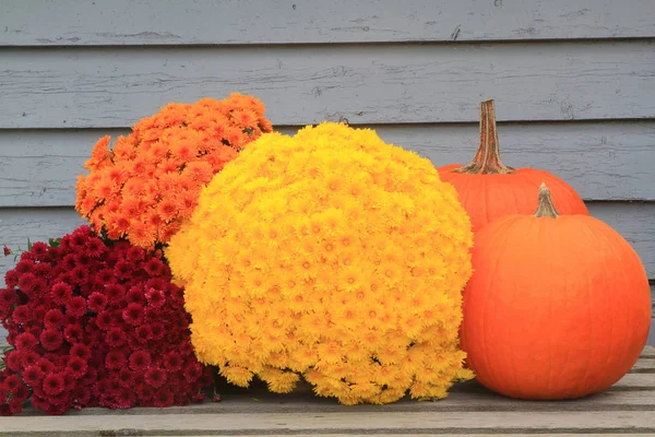 Hálaadás, ősszel, őszi szimbólumok — Stock Fotó