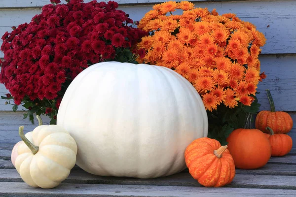 Hálaadás, ősszel, betakarítás szimbólumok Jogdíjmentes Stock Fotók