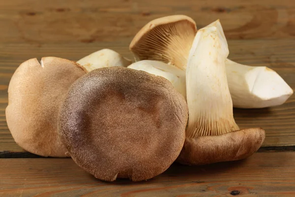 Champignons de l'huître royale — Photo