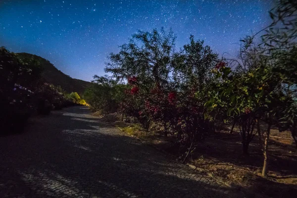 Miliardy hvězd lesklý na hvězdné noci Stock Snímky