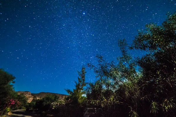 Milliarden Sterne leuchten in einer sternenklaren Nacht lizenzfreie Stockbilder