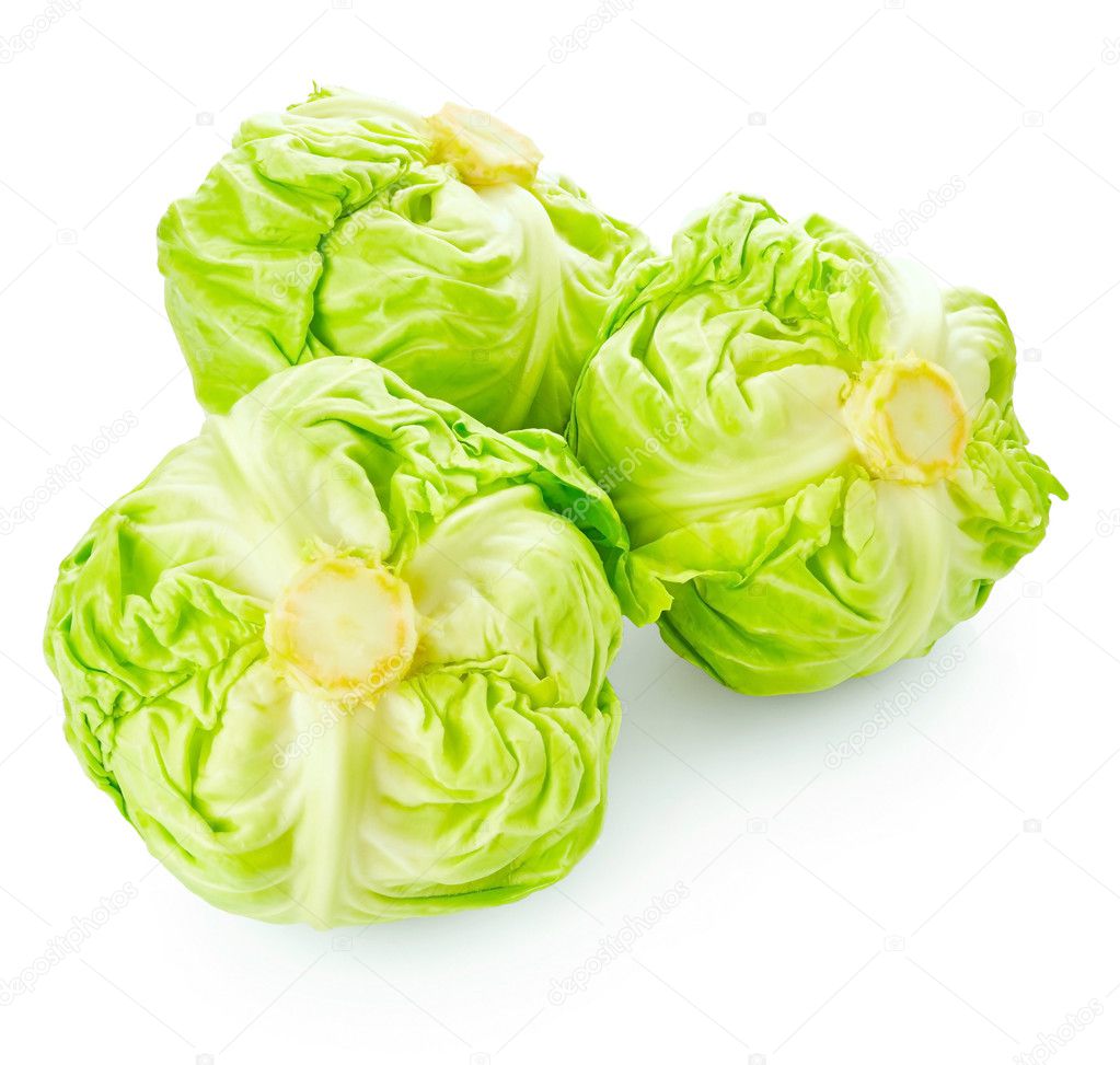 Fresh green cabbage