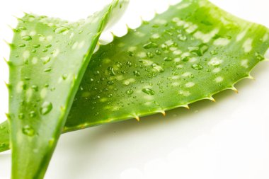 aloe vera damla 