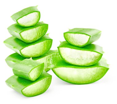 Aloe vera taze yaprakları