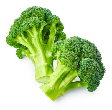 Green fresh broccoli  clipart