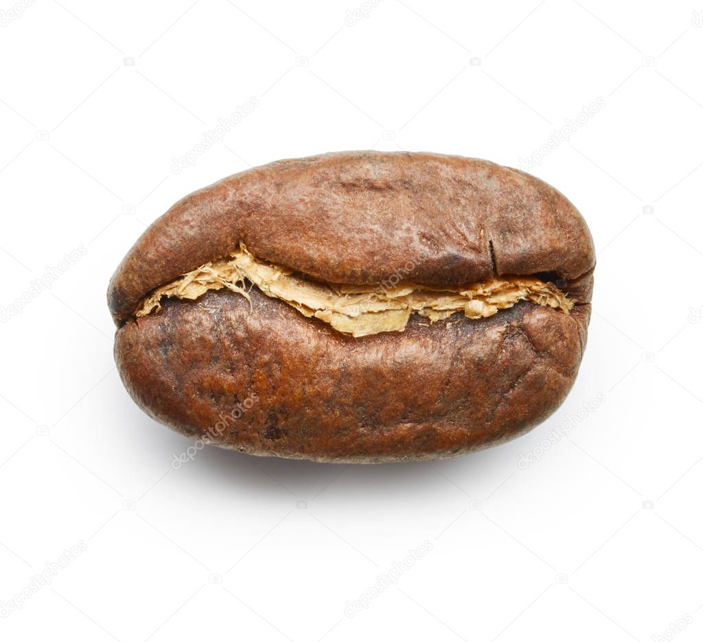 Roasted coffee bean 