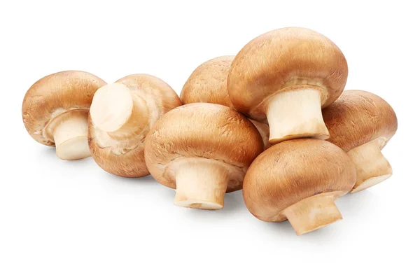 Funghi freschi crudi — Foto Stock