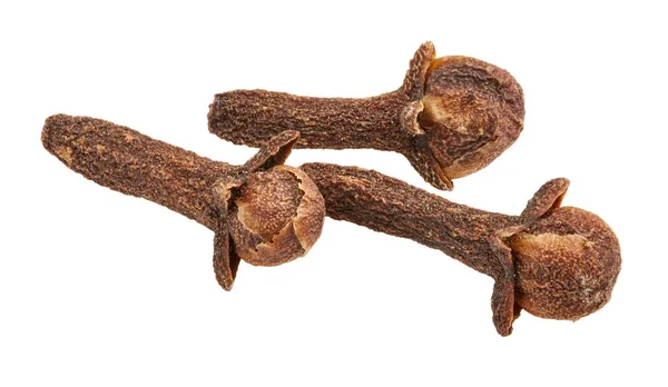 干燥的棕色丁香 — 图库照片