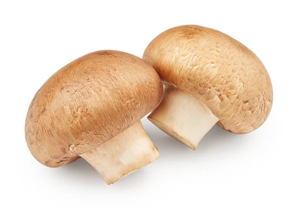 Свежие сырые грибы — стоковое фото