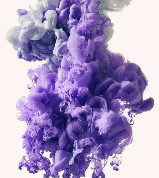 Пурпурный брызг — стоковое фото