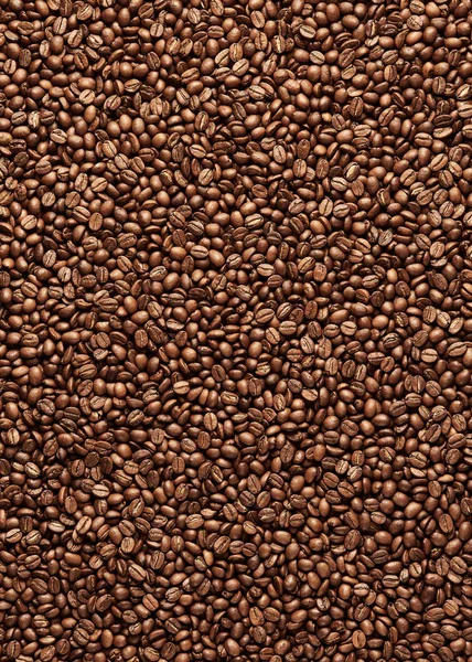 Roasted coffee beans — Stock Photo, Image