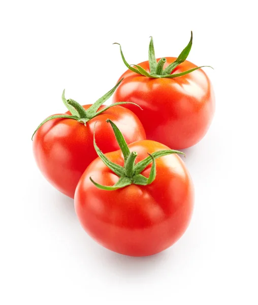 Tomates fraîches sur fond blanc — Photo