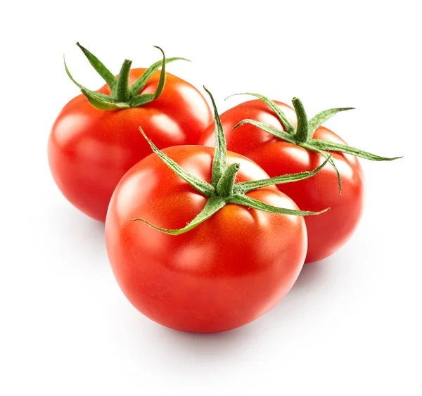 Pomodori su sfondo bianco — Foto Stock