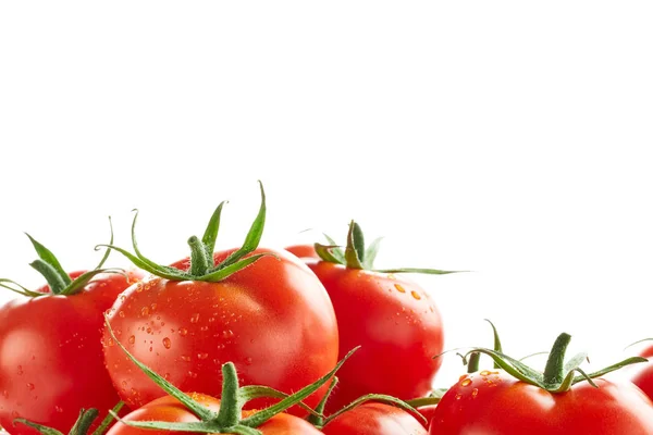 Haufen frischer Tomaten — Stockfoto