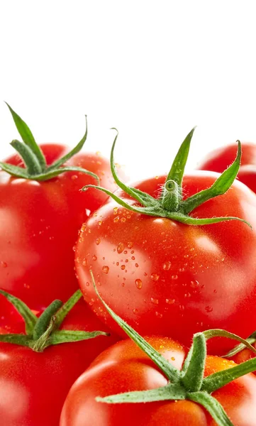 Tomates com gotas de água — Fotografia de Stock