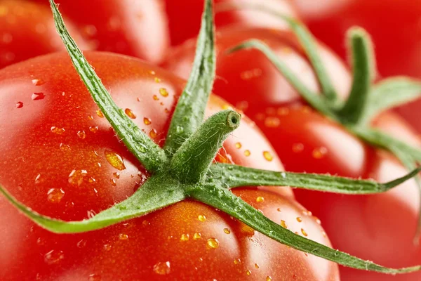 Pomodori con gocce d'acqua — Foto Stock