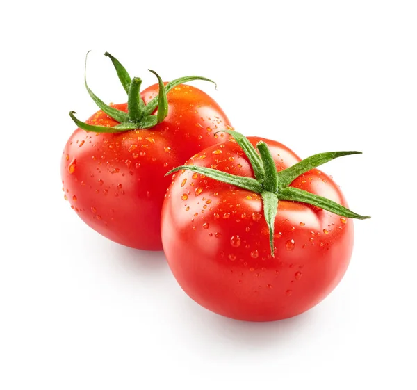 Tomaten mit Wassertropfen — Stockfoto