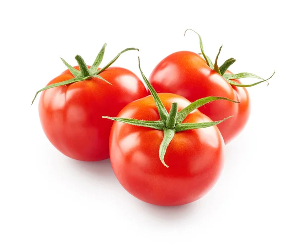 Pomodori su sfondo bianco — Foto Stock