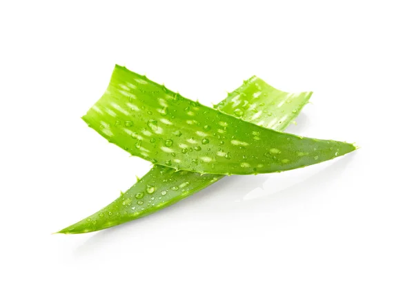 Aloe vera blad med droppar — Stockfoto