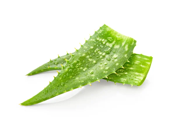 Aloe vera folhas com água — Fotografia de Stock
