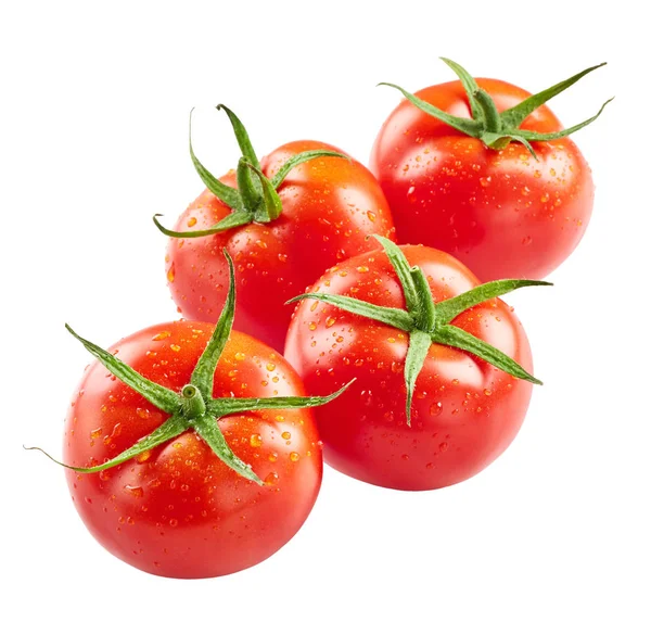 Tomates frescos con gotas de agua —  Fotos de Stock