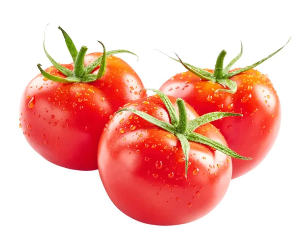 Fresh tomatoes with drops of water — Stock Photo, Image