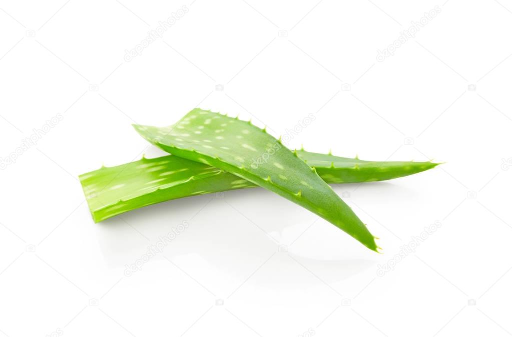 Aloe vera leaves with drops