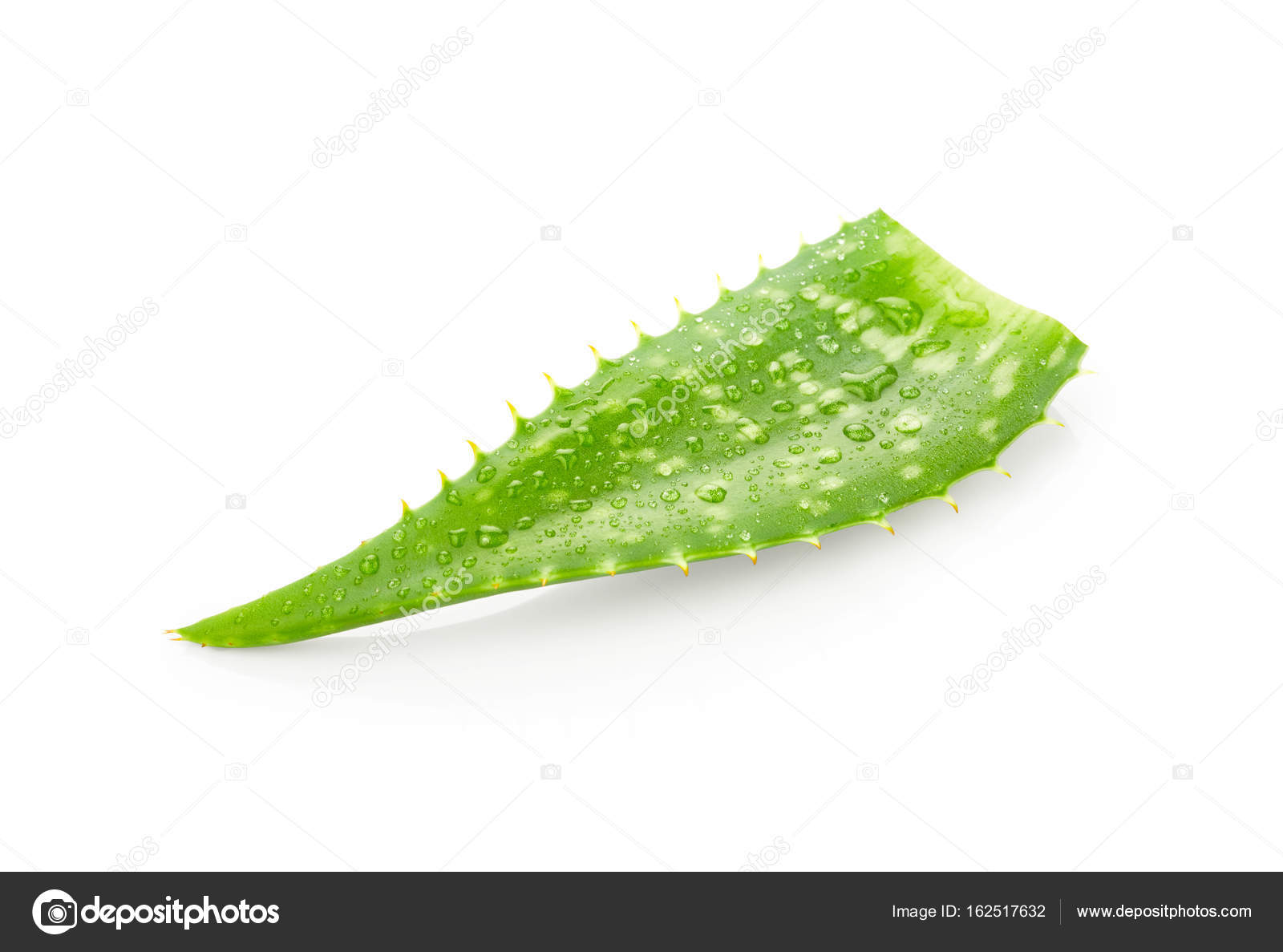 aloe vera vatten aloe vera vatten