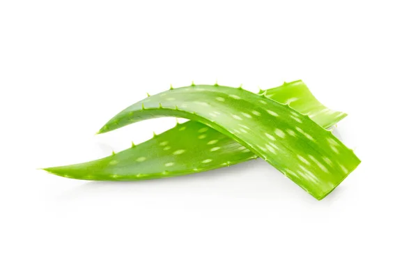 Aloe vera φύλλα — Φωτογραφία Αρχείου