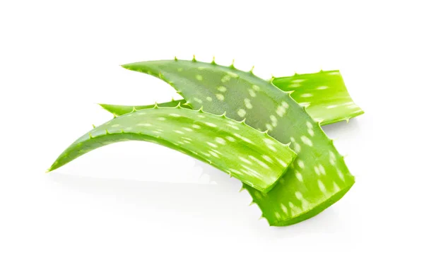 Blätter der Aloe Vera — Stockfoto