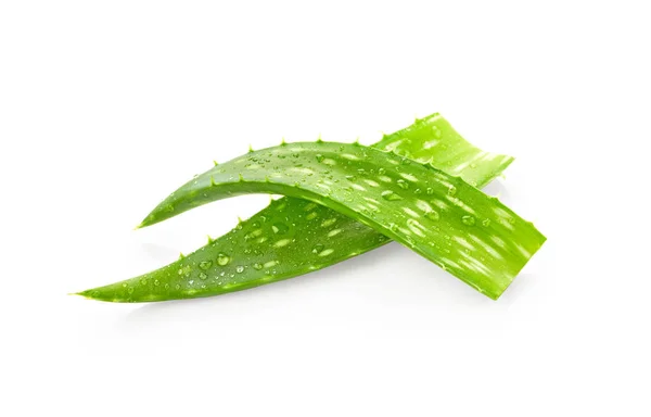 Leaves of aloe vera with drops of water — Stock Photo, Image