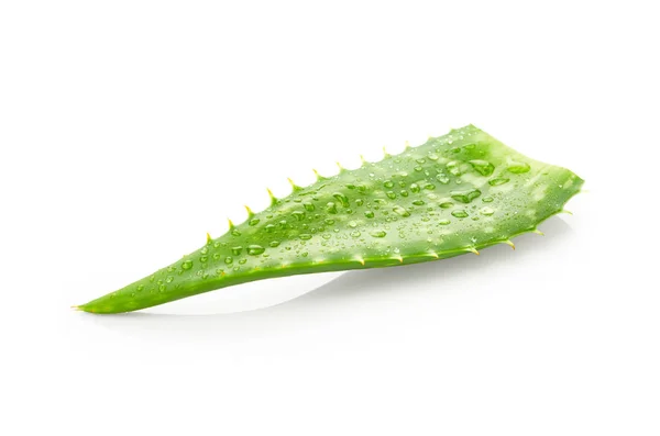 Hoja de aloe vera con gotas de agua — Foto de Stock