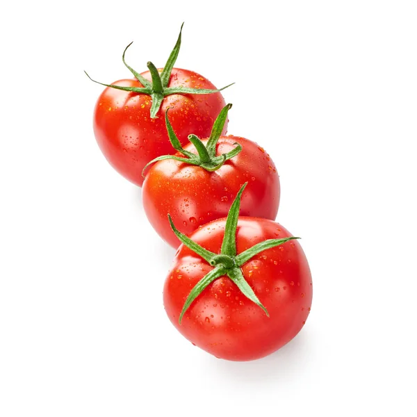 Tomaten mit Wassertropfen — Stockfoto