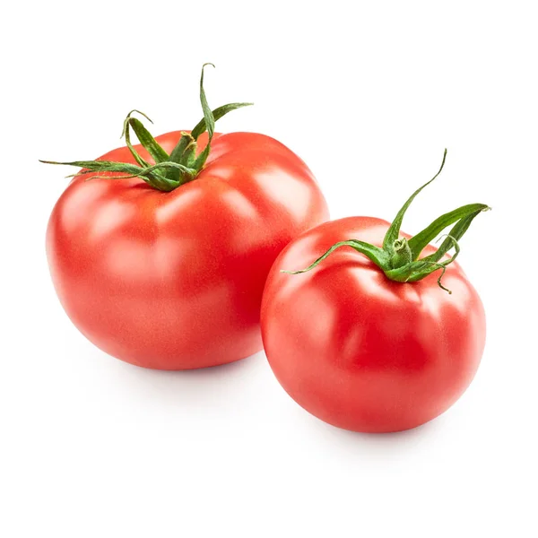 Tomates fraîches sur fond blanc — Photo