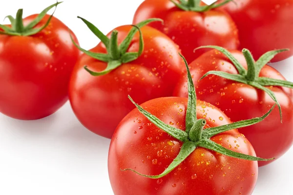 Tomates com gotas de água — Fotografia de Stock