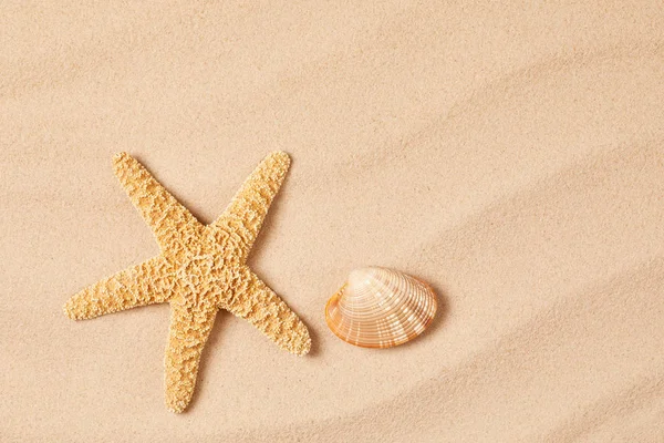 Морские звезды и моллюски на песчаном фоне — стоковое фото