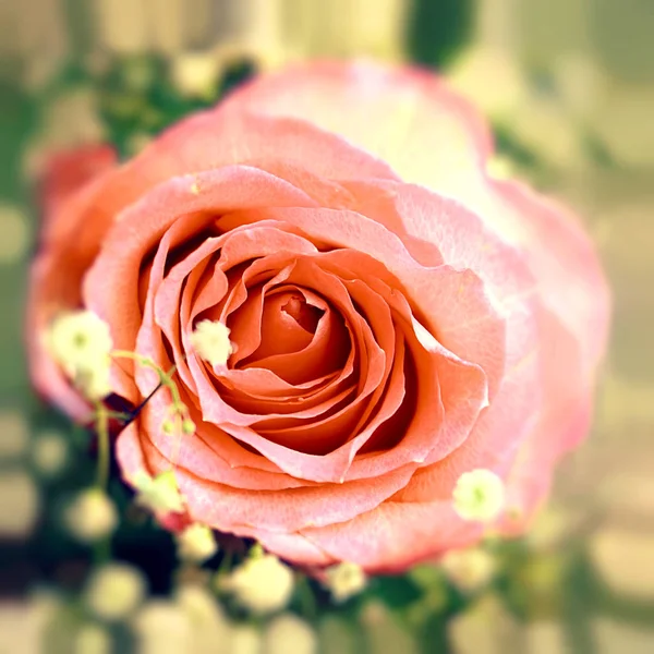 Розовая роза в букете — стоковое фото