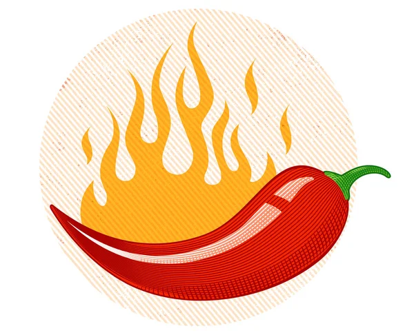 Papryka chili w ogień. — Wektor stockowy