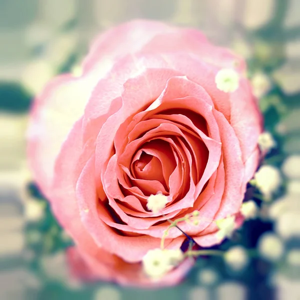 Pink rose in a bouquet — Stock Photo, Image