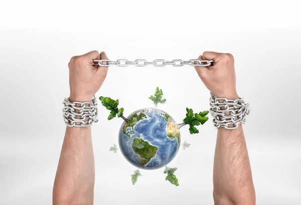 Two chained man hands and the globe with high trees, all isolated on the white background. — Stock Photo, Image