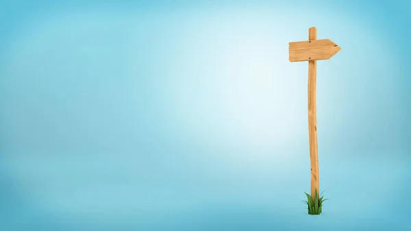 3d renderização de um poste de madeira com alguma grama em sua base e seta em branco no topo . — Fotografia de Stock