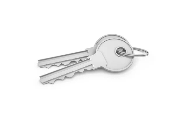 Rendu 3d de deux clés isolées en argent sur un porte-clés — Photo