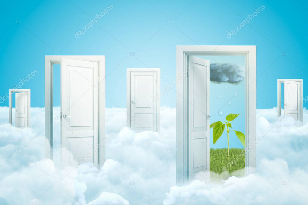 3d rendering of five doors standing on fluffy clouds, one door leading to green sprout on field under rainy cloud in sky.