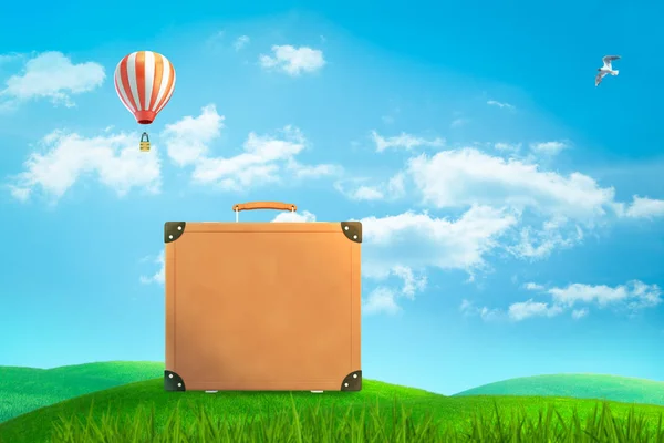 Kahverengi bavulun 3D görüntüsü mavi gökyüzünün altında yeşil çayırda duruyor. Beyaz kuş ve sıcak hava balonuyla birlikte.. — Stok fotoğraf