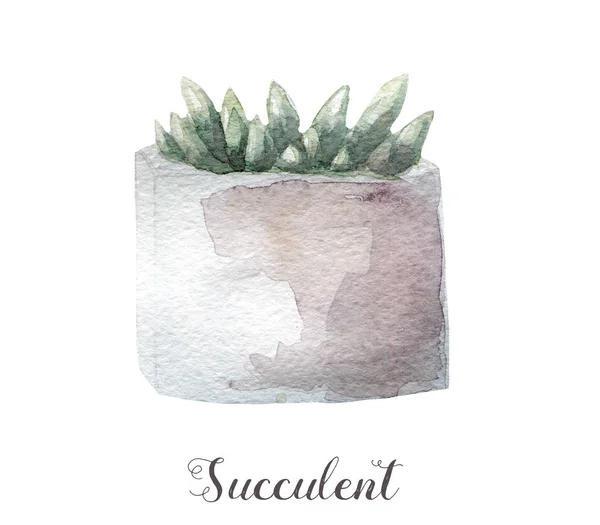 Hand geschilderd in aquarel succulente planten in pot. Perfect voor kaarten, etiketten, uitnodigingen, web, scrapbook, flyer enz — Stockfoto